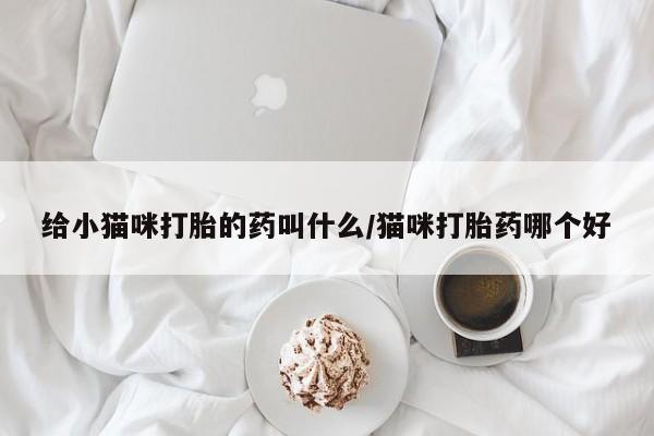 怀孕个月能用流产药吗给小猫咪打胎的药叫什么/猫咪打胎药哪个好