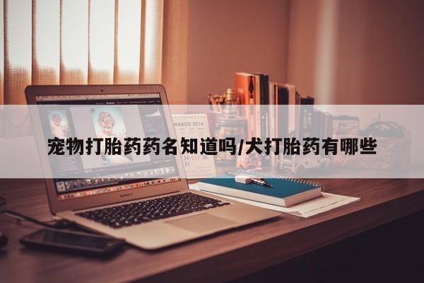 怀孕个月能用流产药吗宠物打胎药药名知道吗/犬打胎药有哪些