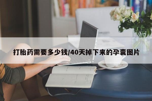 怀孕个月能用流产药吗打胎药需要多少钱/40天掉下来的孕囊图片